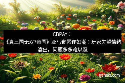 CBPAY：《真三国无双7帝国》亚马逊恶评如潮：玩家失望情绪溢出，问题多多难以忍受